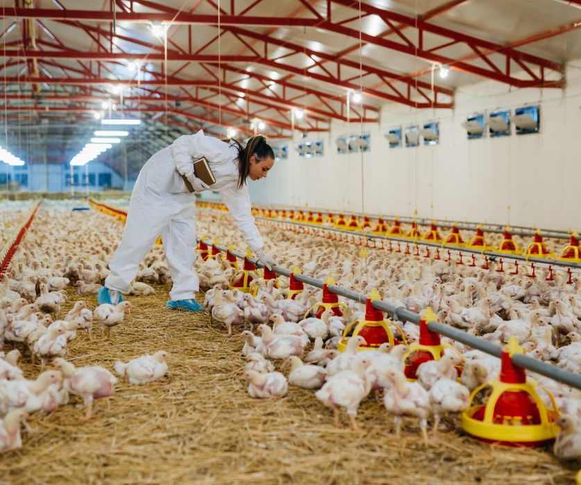 Starlink installation for Farms