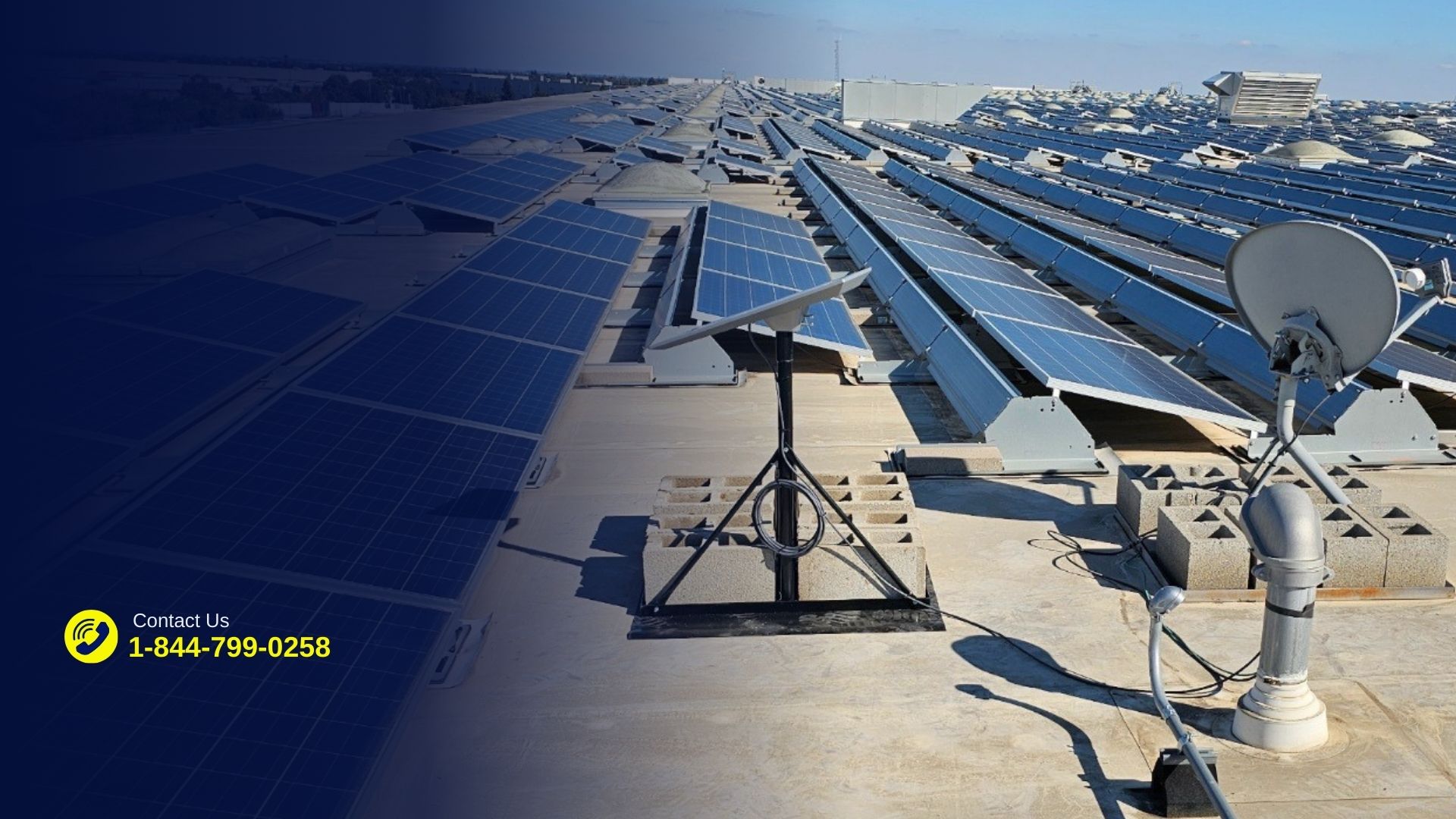 Starlink for Business