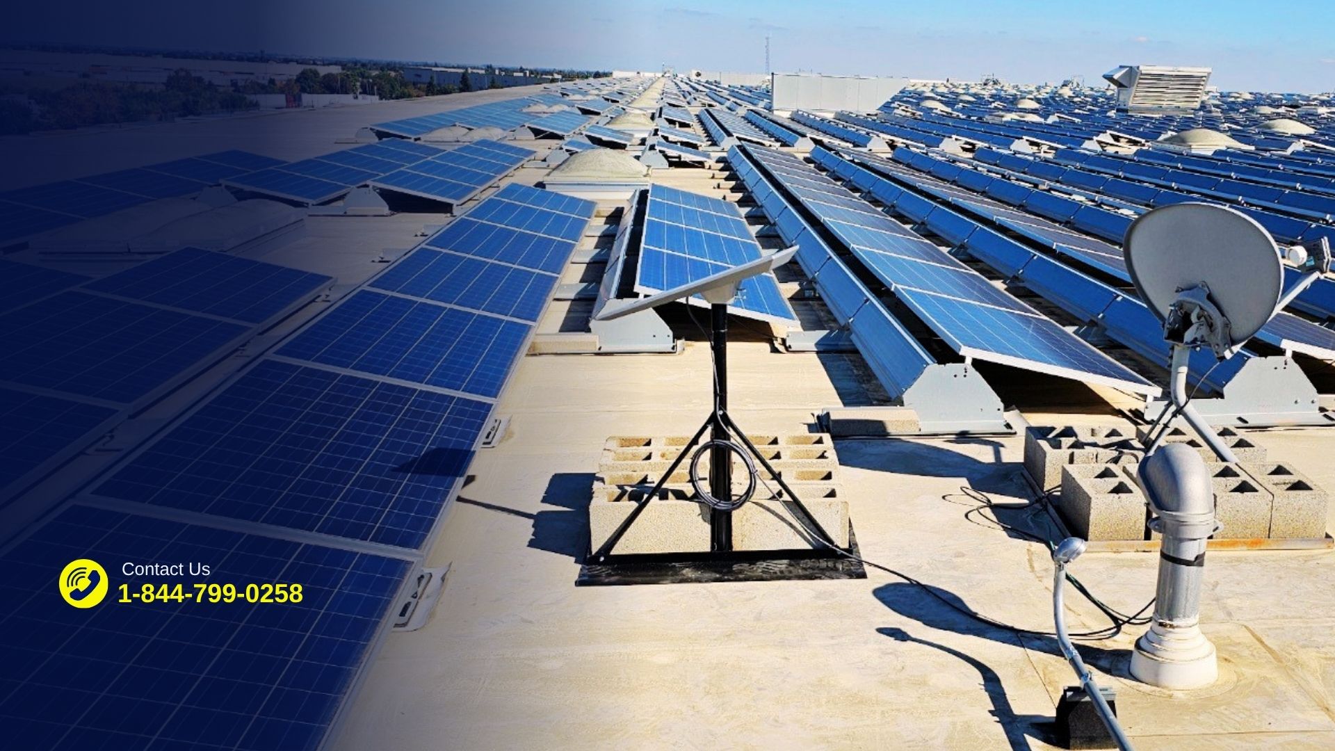 Starlink for Business