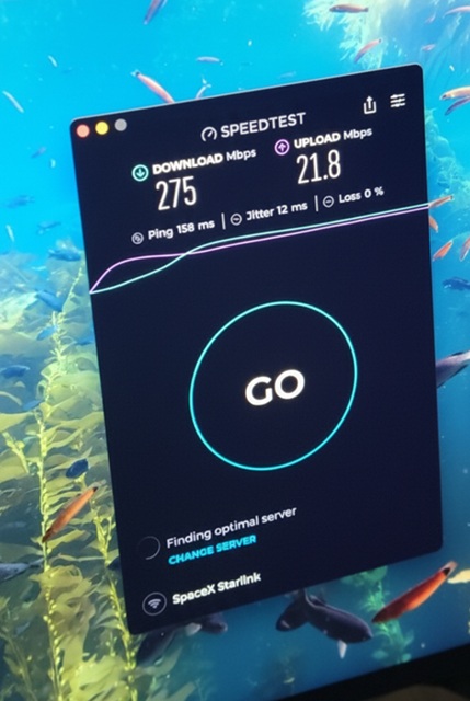 Starlink Speed Tests Poplar Bluff MO