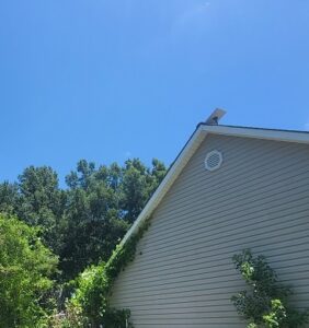 Starlink Speed Test from laptop