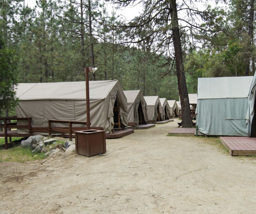 Starlink Installation for Campgrounds