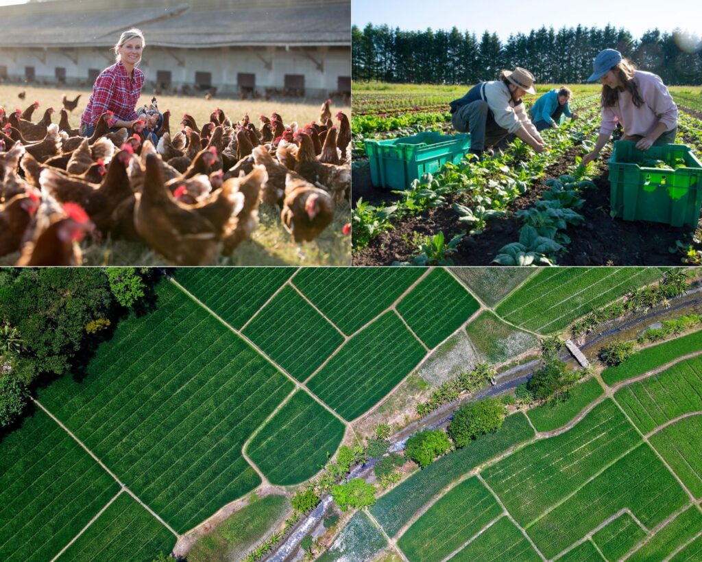 Starlink for farming operations