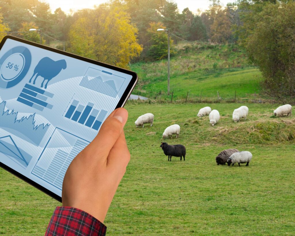 Starlink Internet for farms