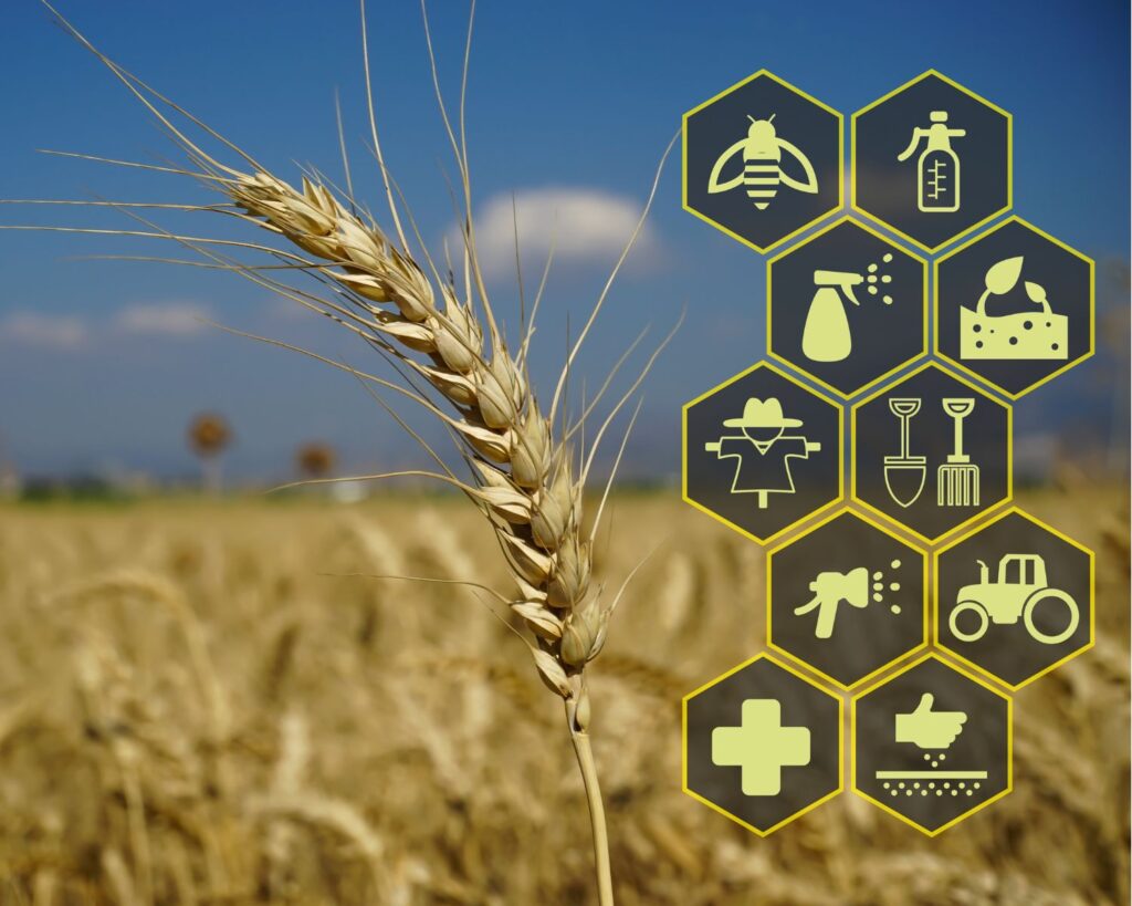 Starlink Internet for Agriculture