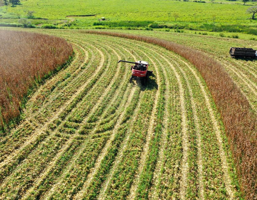 Starlink for Agriculture