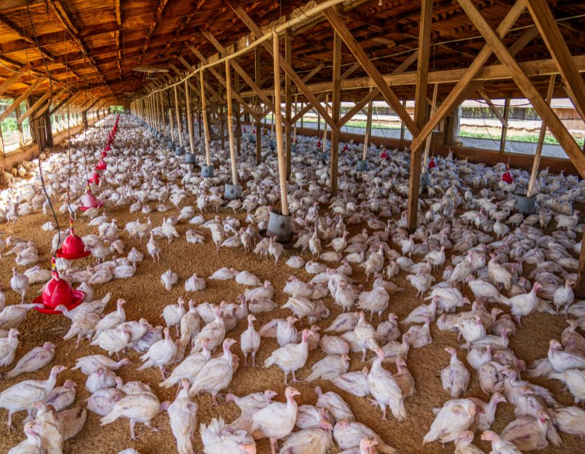 Starlink for Farming Operations