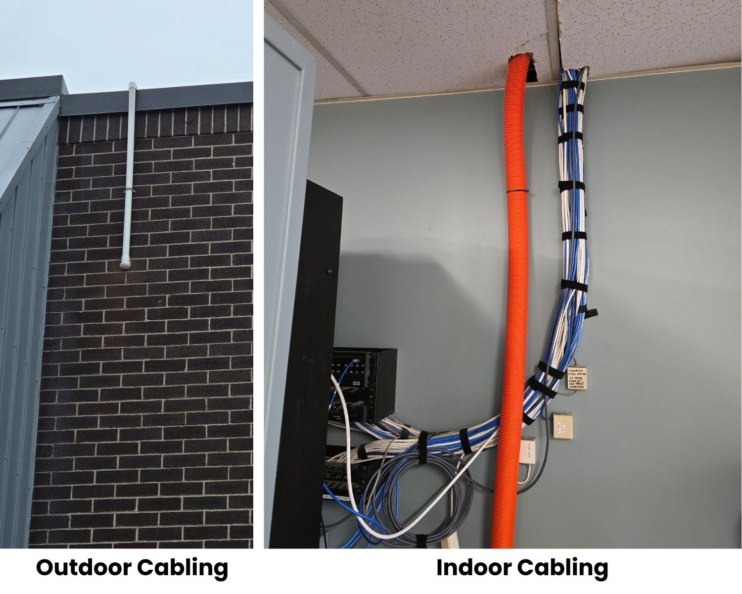 Starlink Cabling Services in Albany NY