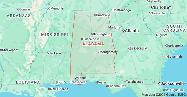 Best Starlink Installers in Orange Beach AL